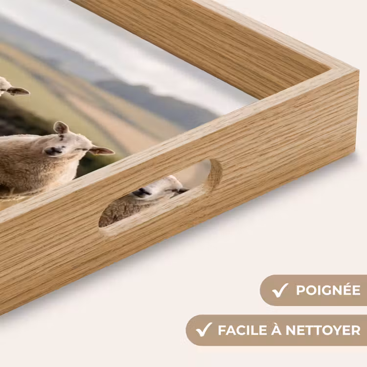Plateau - Ovins - Paysage de pâturage - Collines — 8