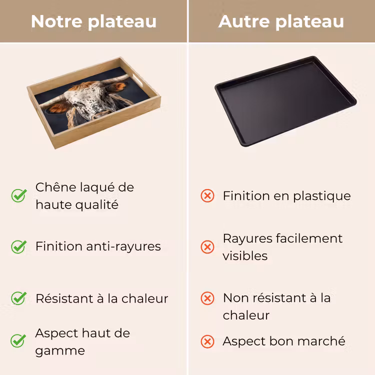 Plateau - Taureau - coloré - cornes — 9