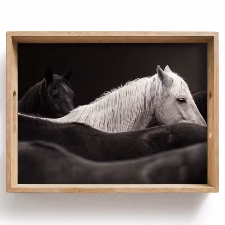 Plateau - Chevaux - Noirs - Blancs - Troupeau — 1