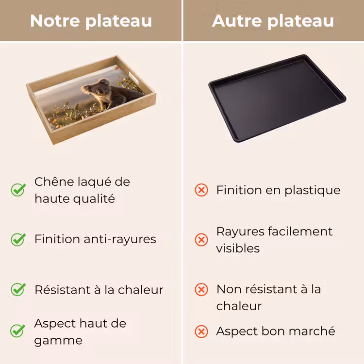 Plateau - Koala - Feuilles - Lumière du matin — 9