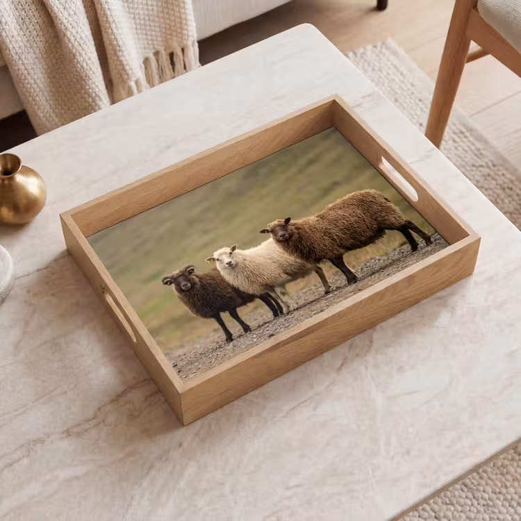 Plateau - Mouton - Marron - Blanc - Chemin de gravier — 2