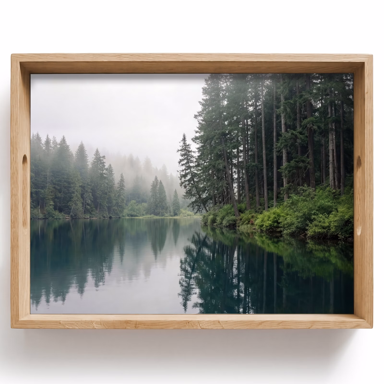 Plateau - Montagnes - Lac - Forêt — 1