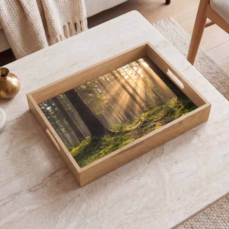 Plateau - Forêt - Soleil - Herbe — 2