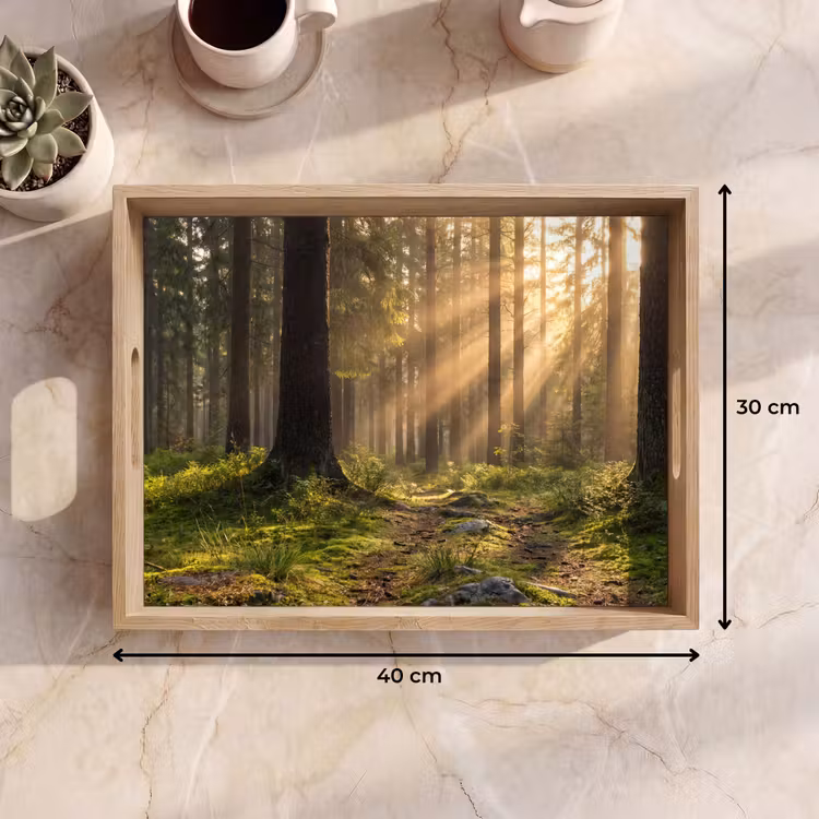 Plateau - Forêt - Soleil - Herbe — 7