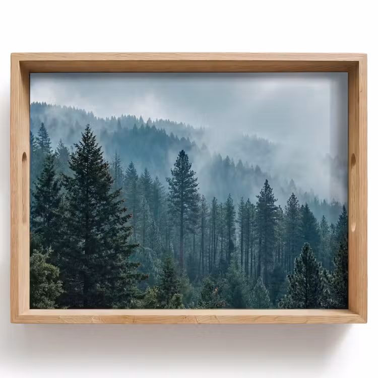 Plateau - Naaldwoud - Bergen - Fog — 1