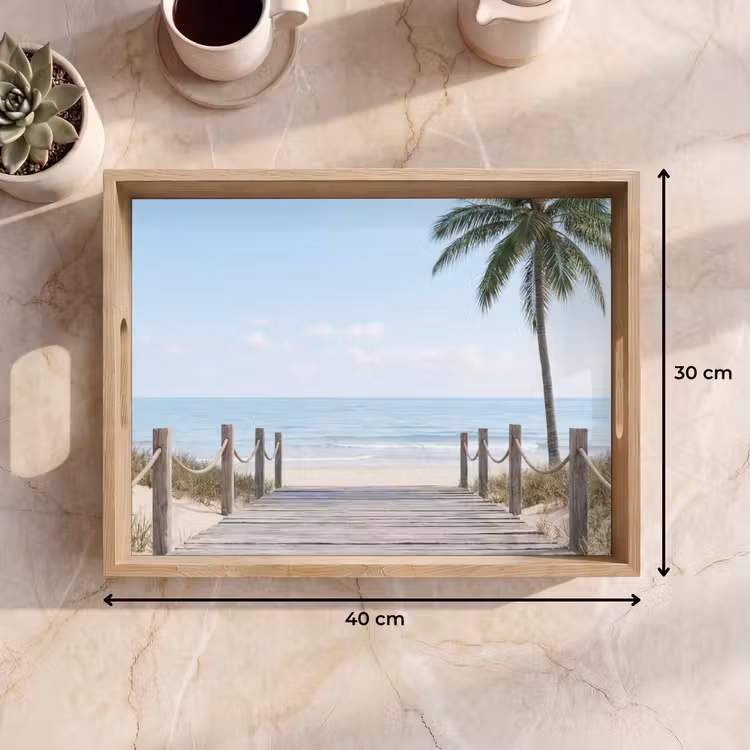 Plateau - Palmiers - Chemin - Horizon — 7