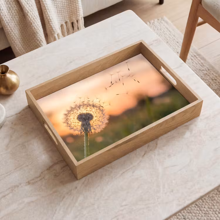 Plateau - Pissenlit - Coucher de soleil - Champ — 2