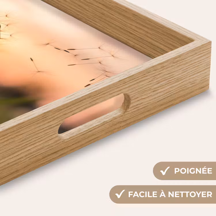 Plateau - Pissenlit - Coucher de soleil - Champ — 8