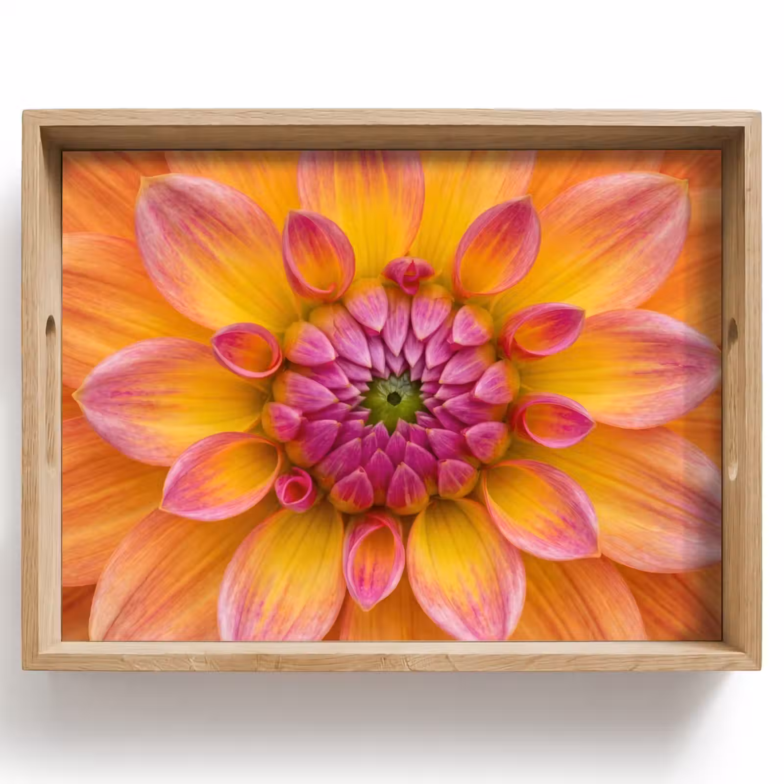 Plateau - Dahlia - Fleur - Orange — 1