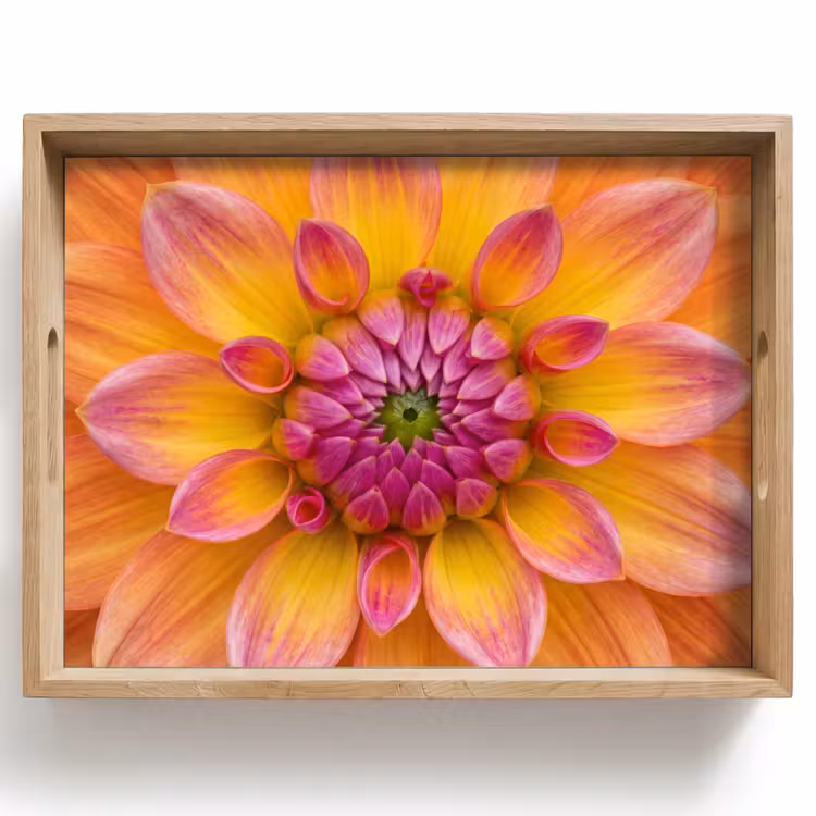 Plateau - Dahlia - Fleur - Orange — 1