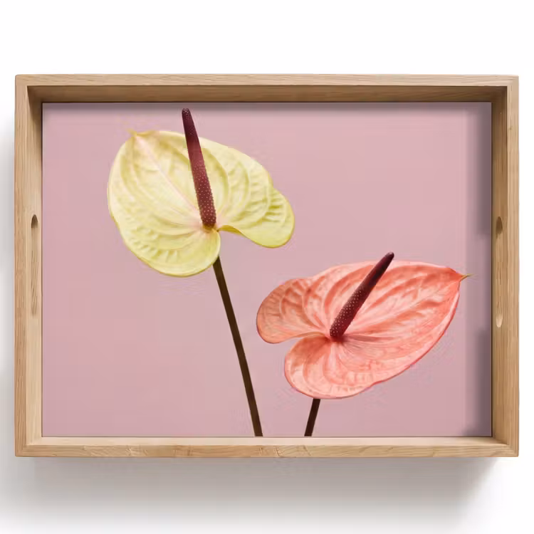 Plateau - Fleurs - Anthuriums - Jaune - Rose — 1