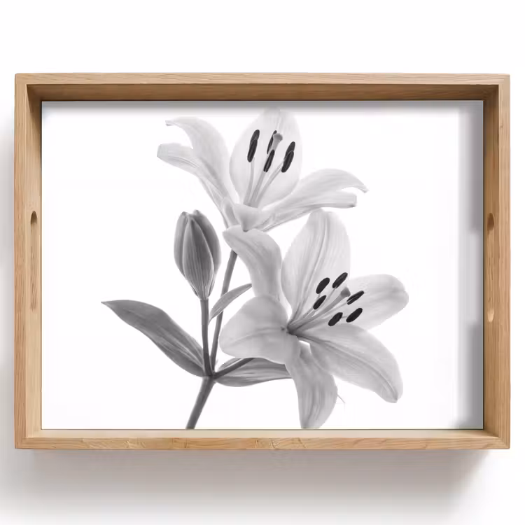 Plateau - Lys - Elégant - Noir - Blanc — 1
