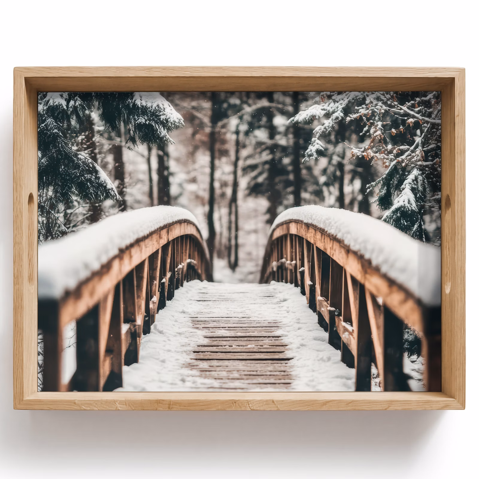 Plateau - Pont - Paysage d'hiver - Forêt - Nature - Neige — 1
