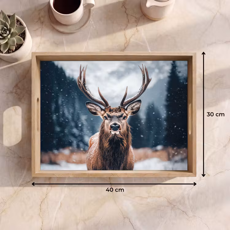 Plateau - Cerf - Animaux - Paysage - Hiver - Neige — 7