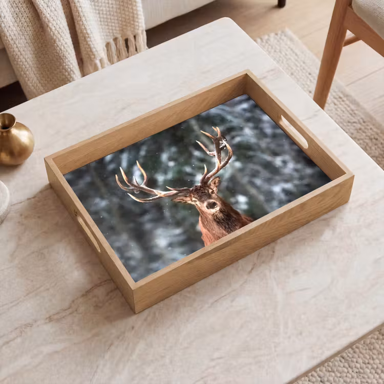 Plateau - Cerf - Hiver - Neige - Forêt - Nature - Animal — 2