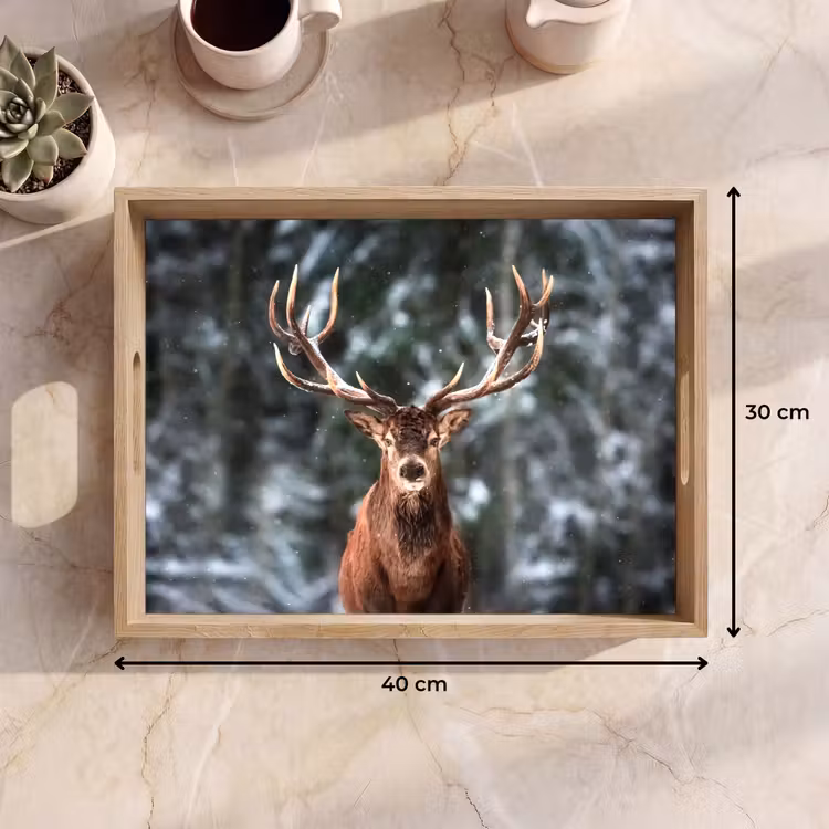 Plateau - Cerf - Hiver - Neige - Forêt - Nature - Animal — 7