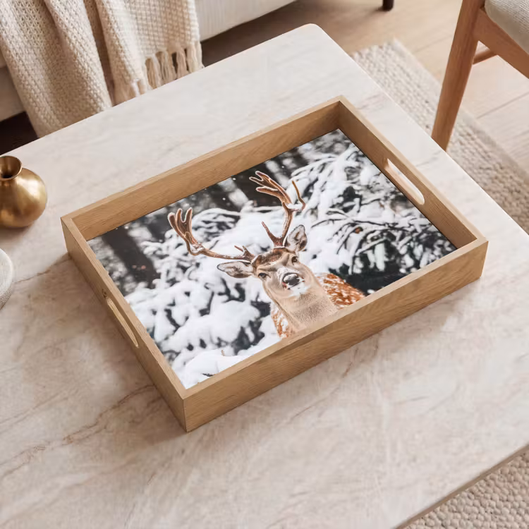Plateau - Cerf - Neige - Hiver - Forêt - Animaux — 2