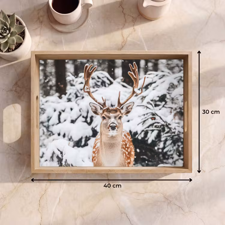 Plateau - Cerf - Neige - Hiver - Forêt - Animaux — 7