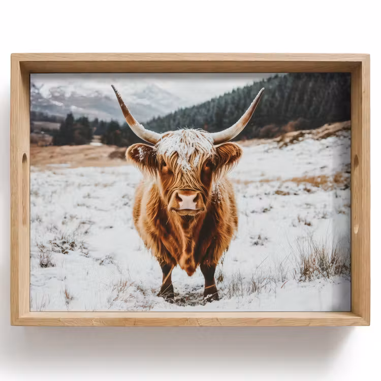 Plateau - Highlander écossais - Paysage - Neige - Montagnes - Hiver — 1