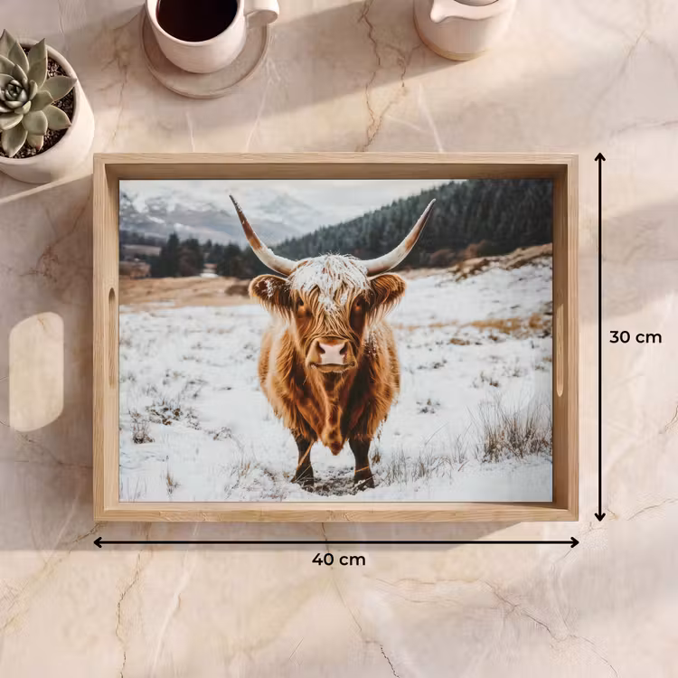 Plateau - Highlander écossais - Paysage - Neige - Montagnes - Hiver — 7