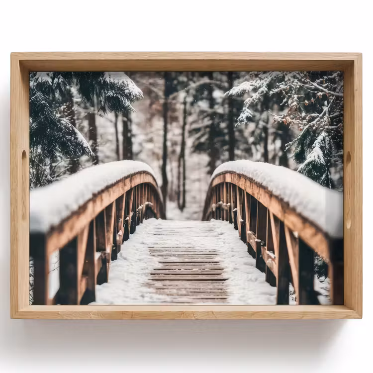 Plateau - Pont - Paysage d'hiver - Forêt - Nature - Neige — 1