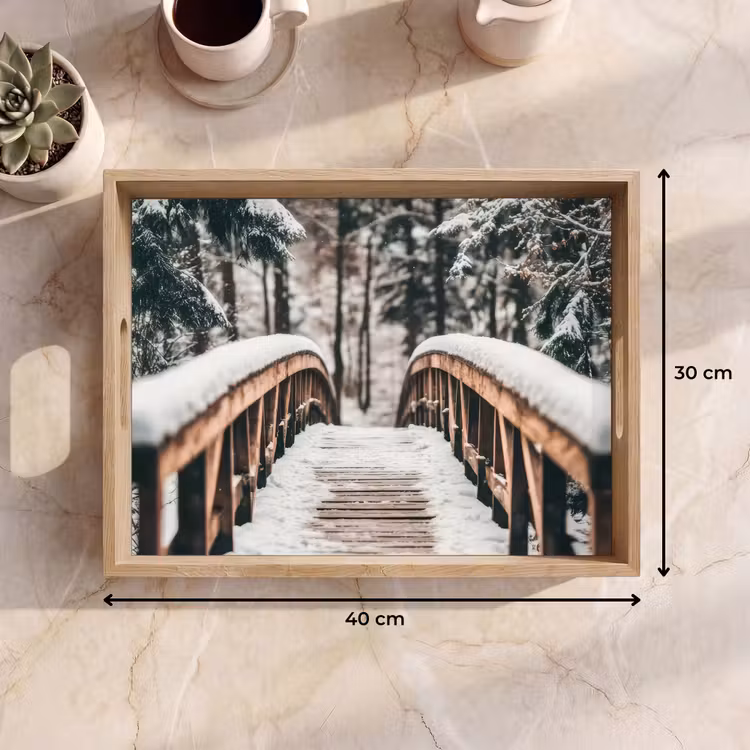 Plateau - Pont - Paysage d'hiver - Forêt - Nature - Neige — 7