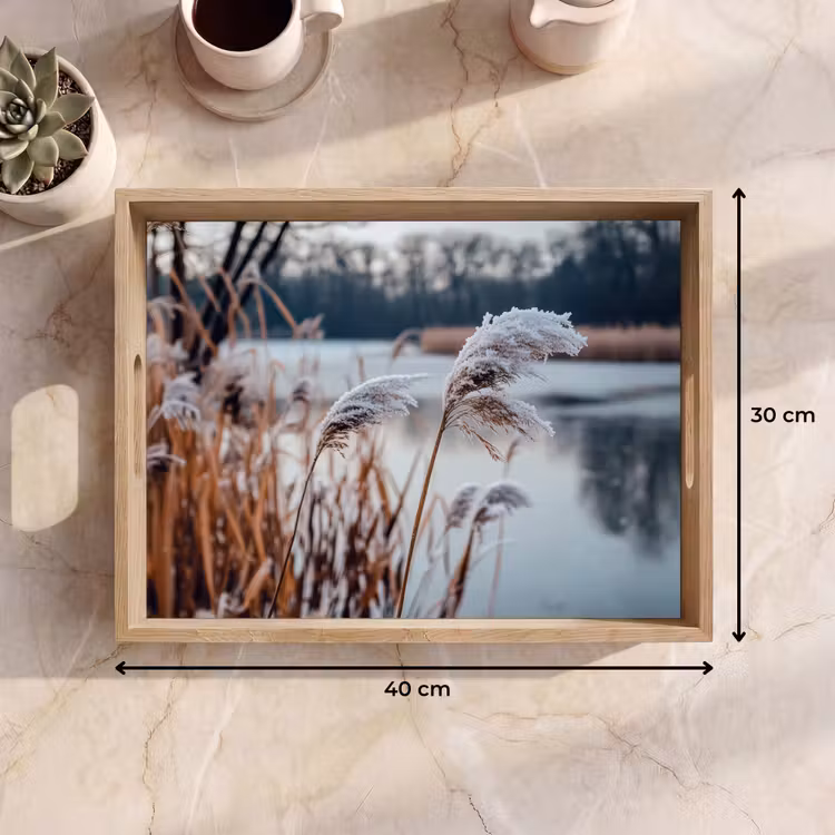 Plateau - Roseau - Herbe - Nature - Hiver - Lac — 7