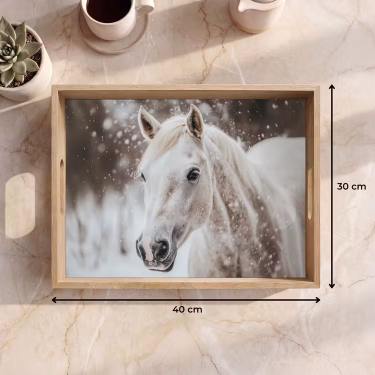 Plateau - Cheval - Blanc - Hiver - Nature - Neige - Animaux — 7