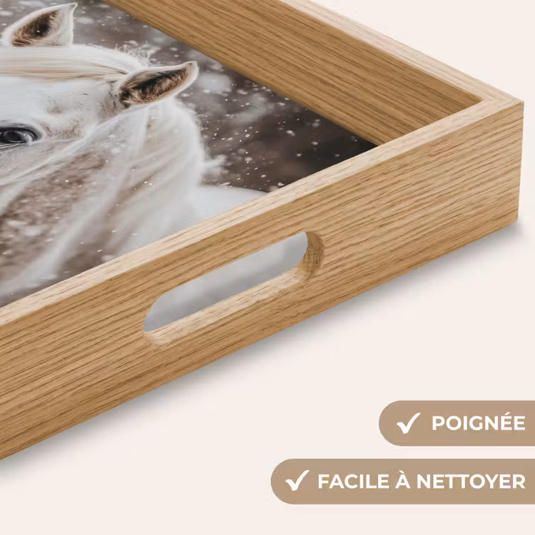 Plateau - Cheval - Blanc - Hiver - Nature - Neige - Animaux — 8