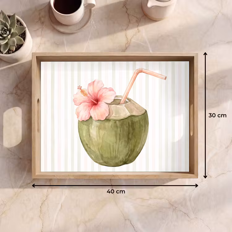 Plateau - Noix de coco - Boisson - Tropical - Illustration - Été — 7