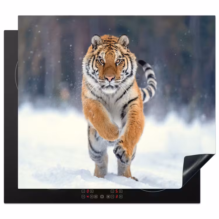 Protection plaque induction - Chasseur d'hiver en tenue — 1