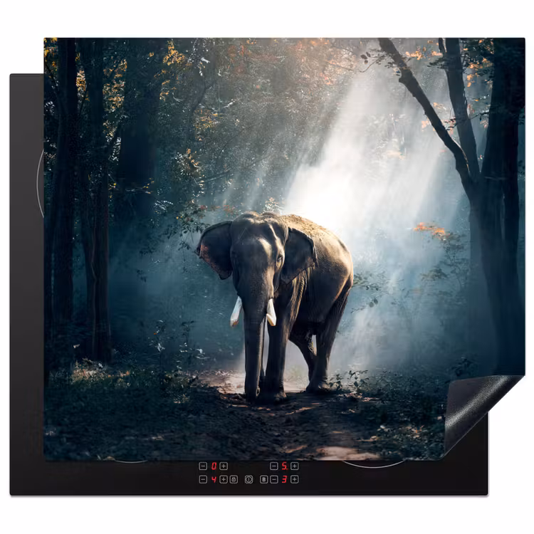 Protection plaque induction - Rencontre avec la brume matinale — 1