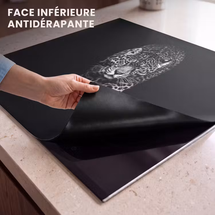 Protection plaque induction - S'approcher dans l'ombre — 7