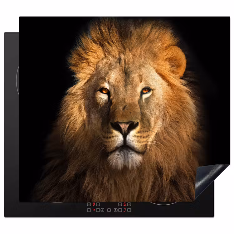 Protection plaque induction - Halo de la jungle — 1