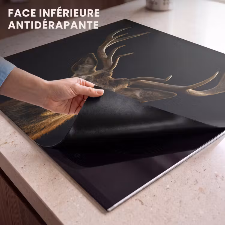 Protection plaque induction - Trône de la forêt — 7