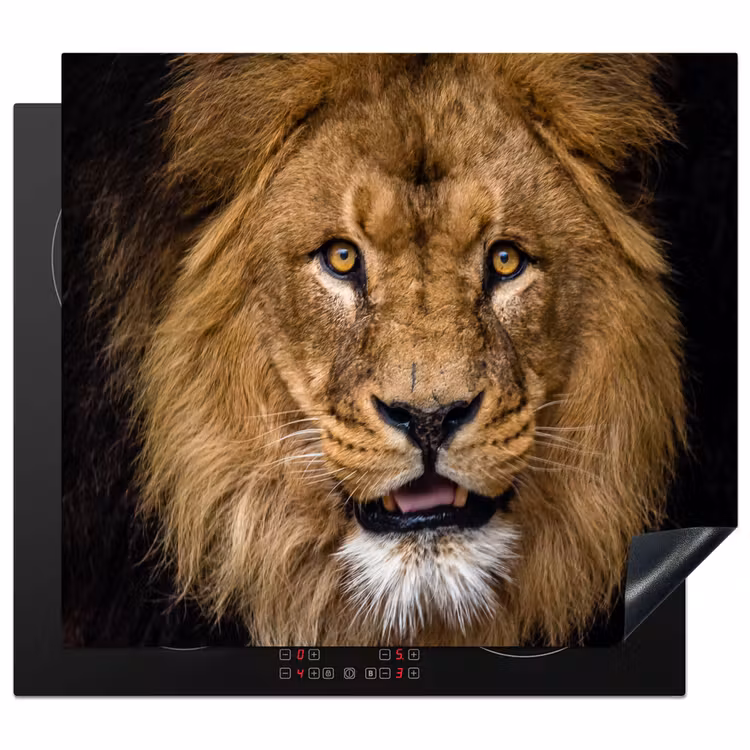 Protection plaque induction - Visage du Serengeti — 1