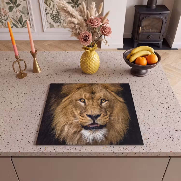 Protection plaque induction - Visage du Serengeti — 3
