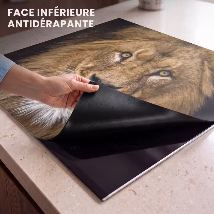 Protection plaque induction - Visage du Serengeti — 7