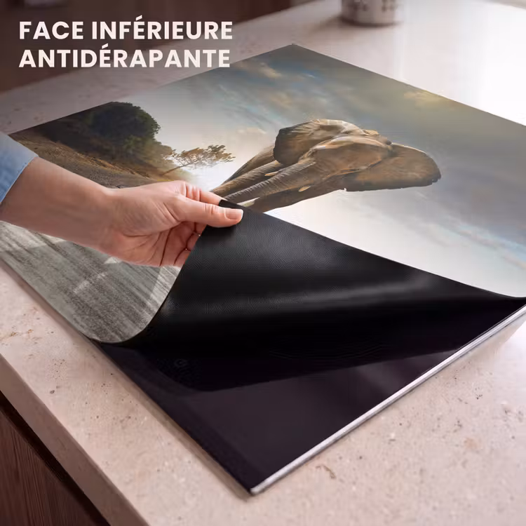 Protection plaque induction - Voyageur au lever du soleil — 7