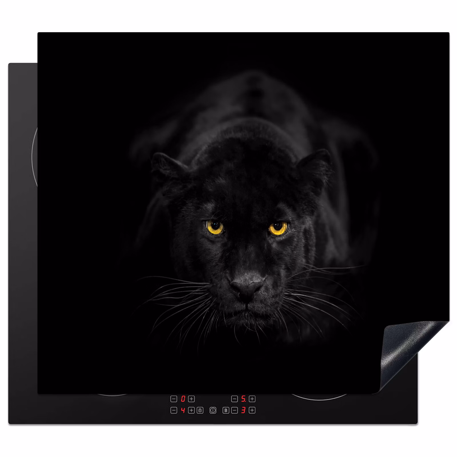 Protection plaque induction - Mystère de la nuit — 1
