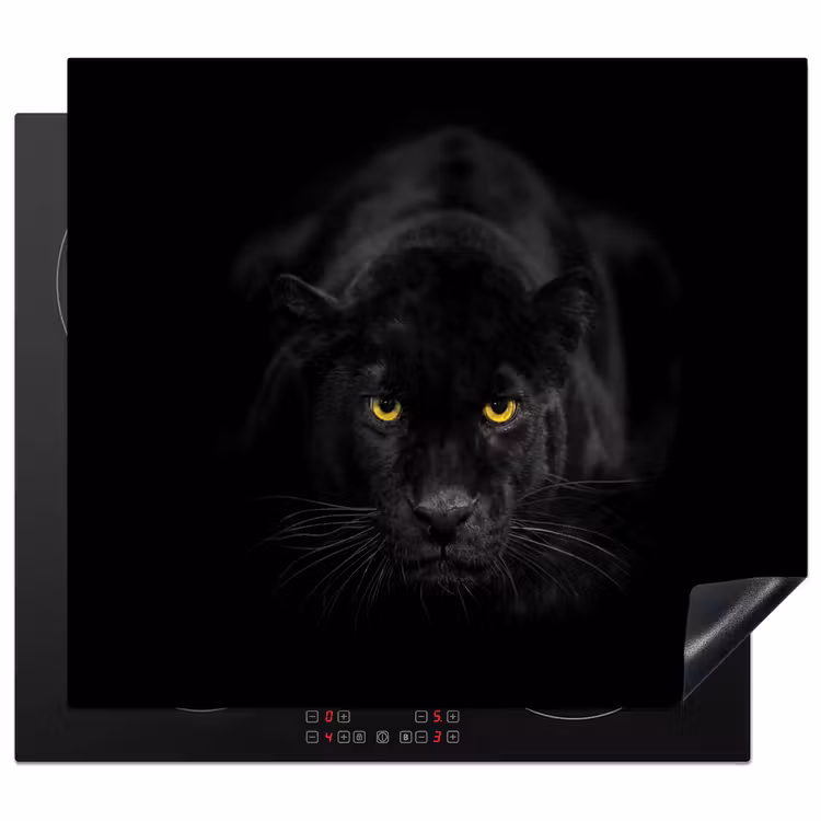 Protection plaque induction - Mystère de la nuit — 1
