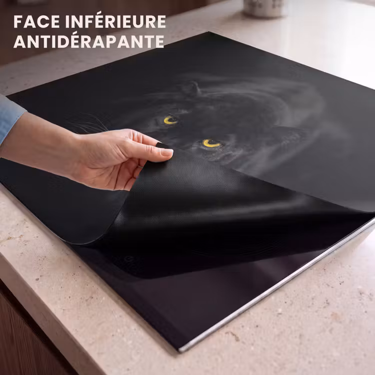 Protection plaque induction - Mystère de la nuit — 7