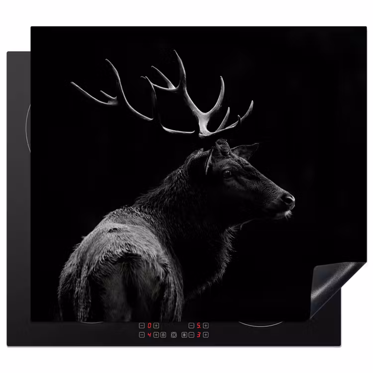Protection plaque induction - Silhouette de la nature sauvage — 1