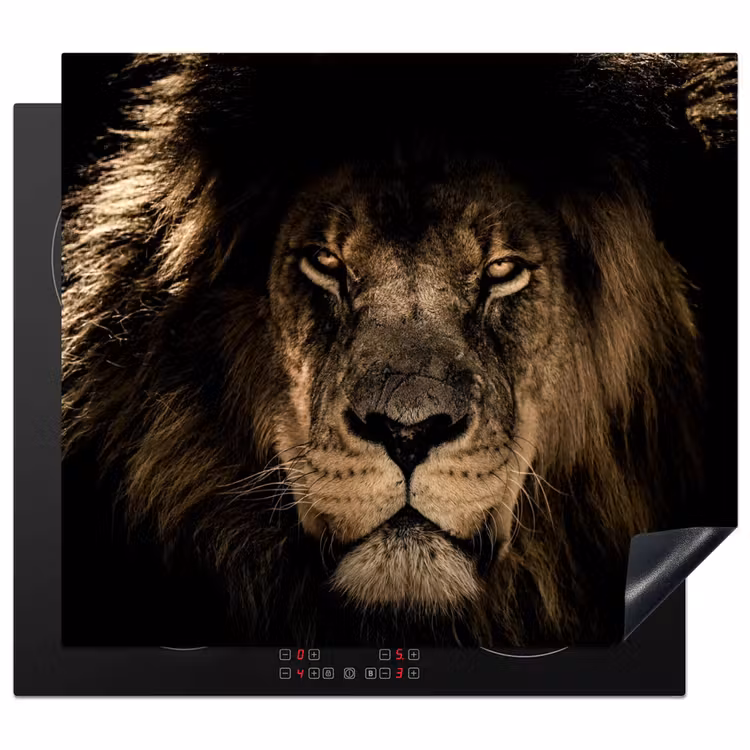 Protection plaque induction - Visage de l'obscurité royale — 1