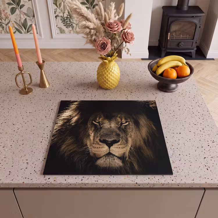 Protection plaque induction - Visage de l'obscurité royale — 3