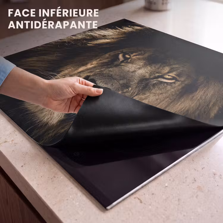 Protection plaque induction - Visage de l'obscurité royale — 7