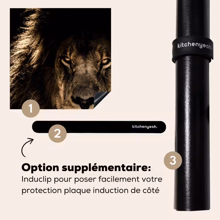 Protection plaque induction - Visage de l'obscurité royale — 8