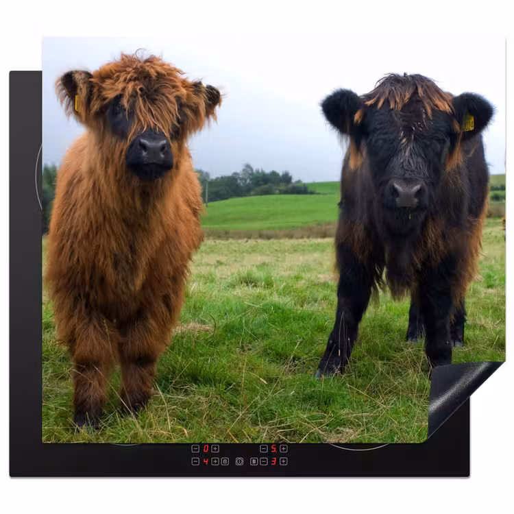 Protection plaque induction - Duo des Prés — 1