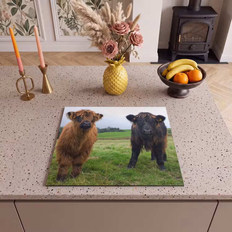 Protection plaque induction - Duo des Prés — 3