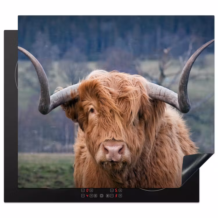 Protection plaque induction - Le souverain des Highlands — 1